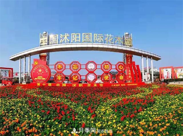 這些中國(guó)著名苗木產(chǎn)地你知道幾個(gè)？值得收藏！(圖2)
