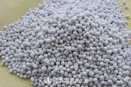 養(yǎng)護(hù)月季花施肥施什么肥料？(圖1)