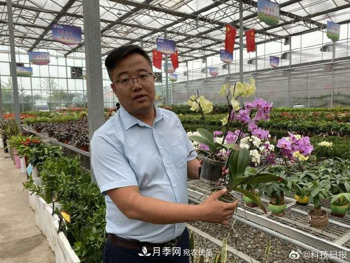 甘肅山里的鮮花基地，讓農(nóng)民顧家掙錢兩不誤(圖1)