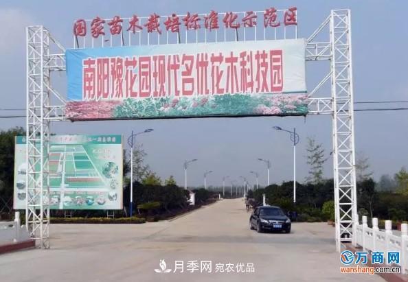 南陽豫花園苗木示范區(qū)：以生態(tài)為本打造現(xiàn)代農(nóng)業(yè)“大花園”(圖1)