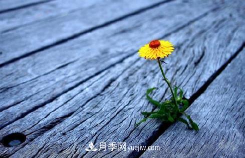 有一種努力叫：以為自己很努力，原來是在刷存在感(圖1)