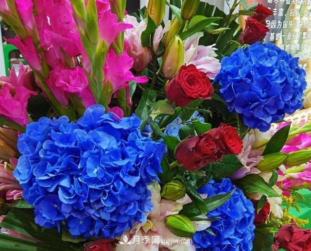 遼寧花卉，合肥斗艷，走進2020年中國安徽名優(yōu)農(nóng)產(chǎn)品交易會(圖1)