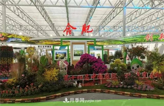 “苗會(huì)”美麗中國 建設(shè)美好安徽——2020合肥苗木花卉交易大會(huì)開幕(圖1)