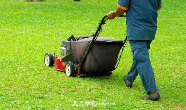 9月園林花木養(yǎng)護(hù)工作要點(圖1)