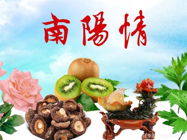 2021南陽企業(yè)50強(qiáng)名單 同時(shí)推出高成長企業(yè)30強(qiáng)(圖1)