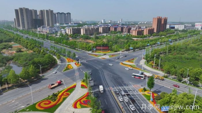 湖南寧鄉(xiāng)：萬株月季齊綻放，扮靚城市生態(tài)新風(fēng)景(圖1)