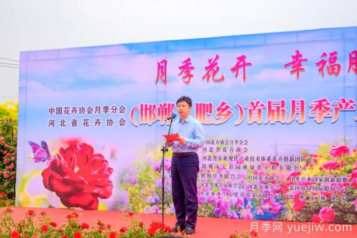 邯鄲月季：肥鄉(xiāng)區(qū)首屆月季產(chǎn)業(yè)高質量發(fā)展大會舉辦(圖1)