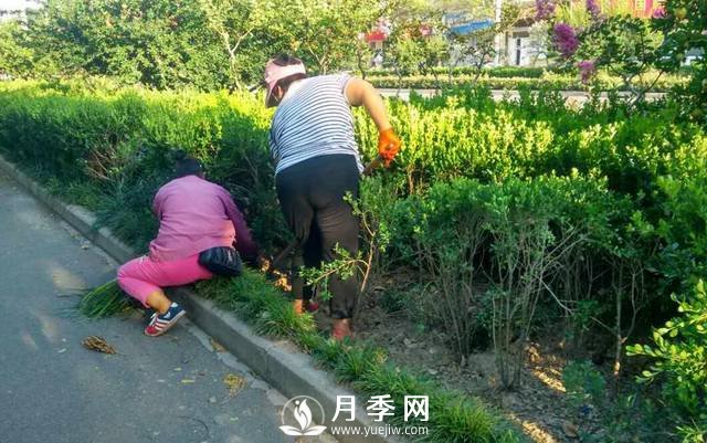 人喊“熱” 花草樹(shù)木也中暑 看我們大南陽(yáng)如何抗旱防澇(圖1)