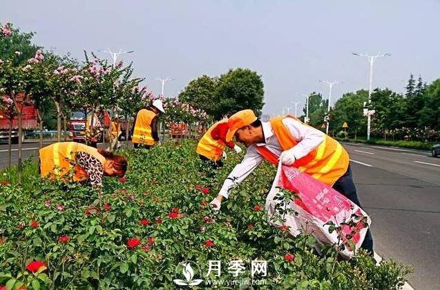 人喊“熱” 花草樹(shù)木也中暑 看我們大南陽(yáng)如何抗旱防澇(圖2)