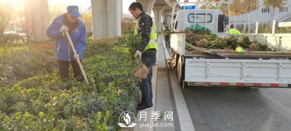 鄭州計(jì)劃打造37公里鮮花高架橋(圖2)