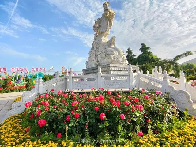 中國(guó)月季園首屆月季音樂節(jié)暫停舉辦延期公告(圖1)
