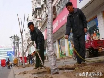12月份園林養(yǎng)護如何做，才能給全年養(yǎng)護做個好結(jié)尾