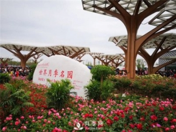 南陽(yáng)盆栽月季的翻盆