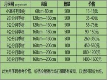 1-10公分月季樹價格是多少？樹狀月季5月報價單！