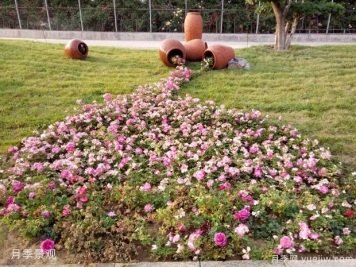 秋季樹(shù)木移植后如何養(yǎng)護(hù)才能提高成活率
