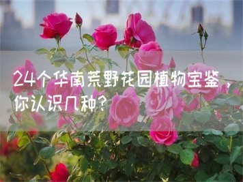 24個華南荒野花園植物寶鑒，你認識幾種？