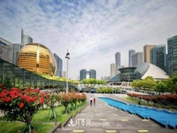 浙江杭州：錢江新城近千株月季盛開陽臺