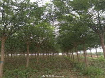 浙江滕頭園林今年做了兩件事，第二件將為你省一大筆錢！